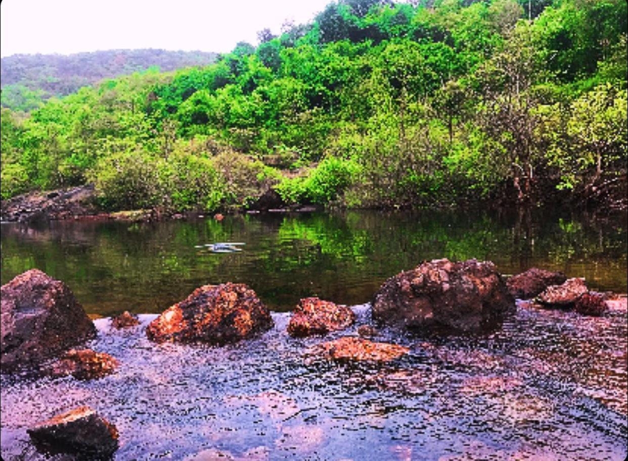 Rohan Homestay By Traviget Hospitality, Dapoli-Konkan Harnai Buitenkant foto